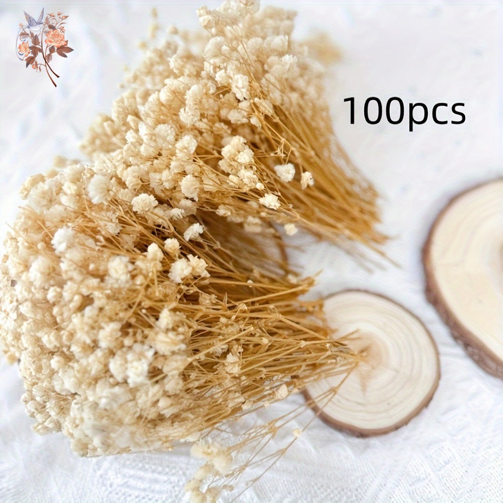 100pcs Mini Dried Baby's Breat - Resin Craft Ideas ulasan dan harga